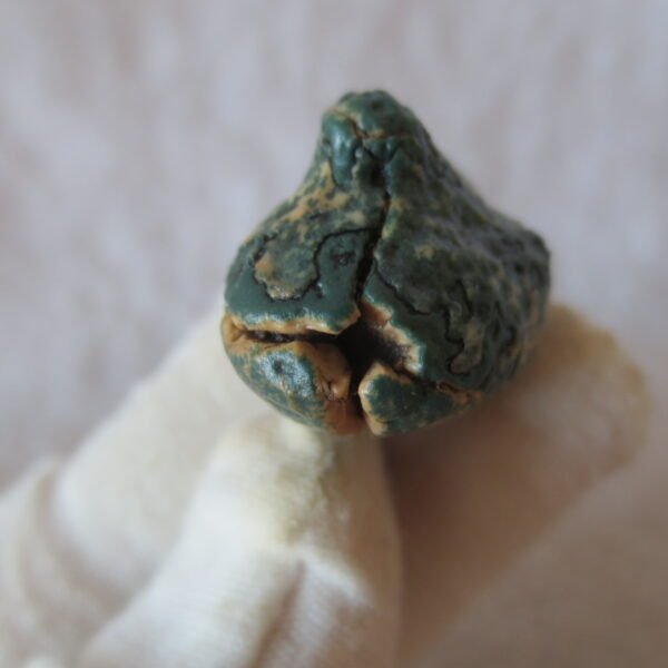 natural green grass flower gobi moss agate , desert gobi stone mineral specimen (t39）