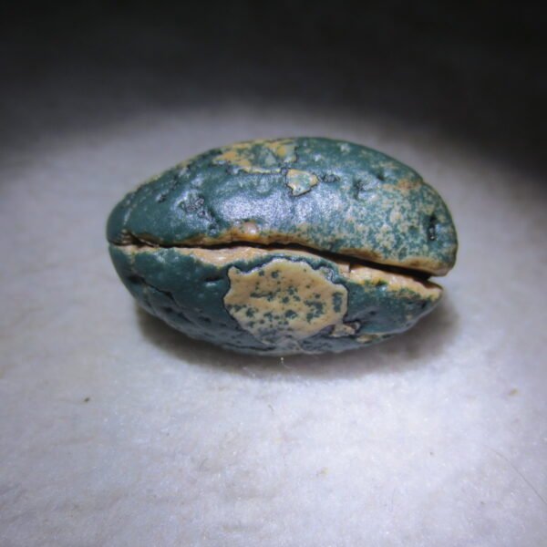 natural green grass flower gobi moss agate , desert gobi stone mineral specimen (t39）