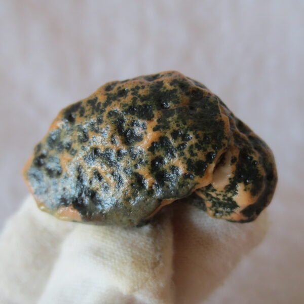 natural green grass flower gobi moss agate , desert gobi stone mineral specimen (t40)