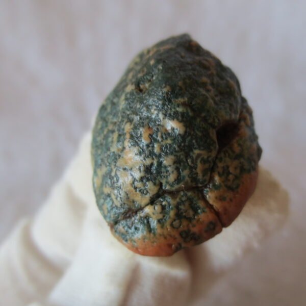 natural green grass flower gobi moss agate , desert gobi stone mineral specimen (t43）