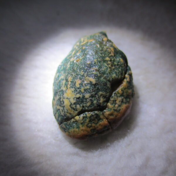 natural green grass flower gobi moss agate , desert gobi stone mineral specimen (t43）