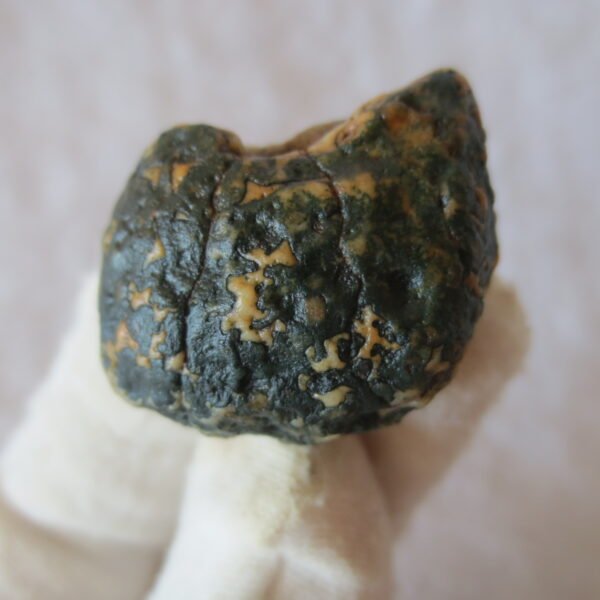 natural green grass flower gobi moss agate , desert gobi stone mineral specimen (t50）