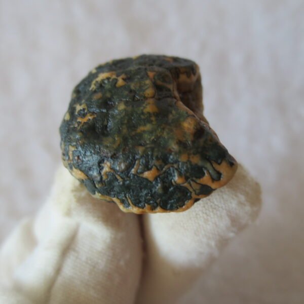 natural green grass flower gobi moss agate , desert gobi stone mineral specimen (t50）
