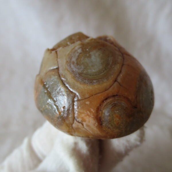 natural gobi eye stone，raw oracle eye agate，collectible crystal specimen (m91)
