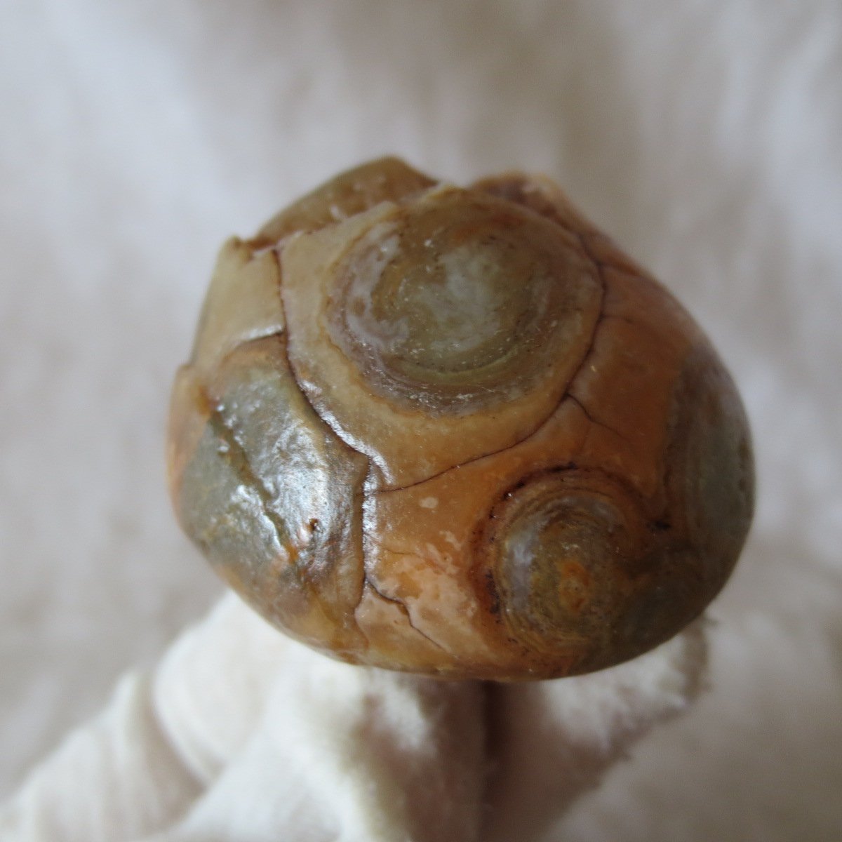 natural gobi eye stone，raw oracle eye agate，collectible crystal specimen (m91)