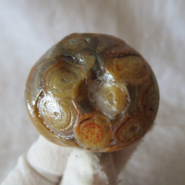 natural gobi eye stone，raw oracle eye agate，collectible crystal specimen (m91)