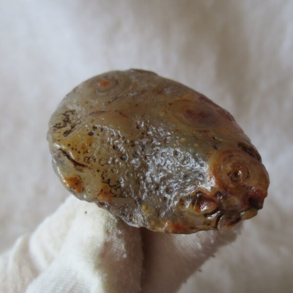 natural gobi eye stone，raw oracle eye agate，collectible crystal specimen (m92)