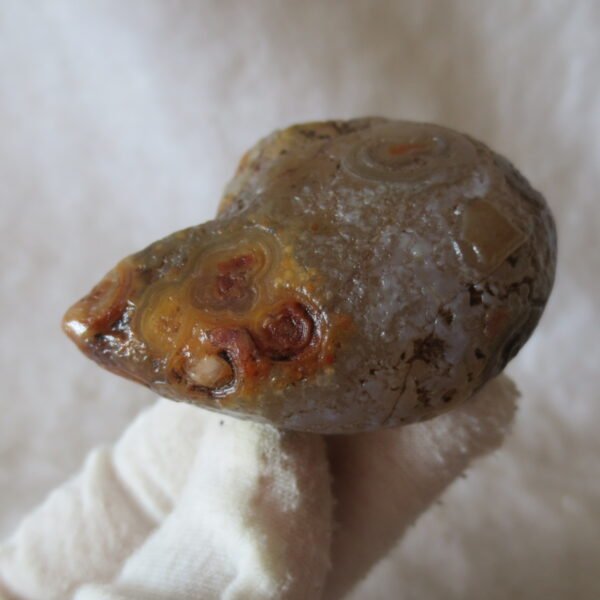 natural gobi eye stone，raw oracle eye agate，collectible crystal specimen (m92)