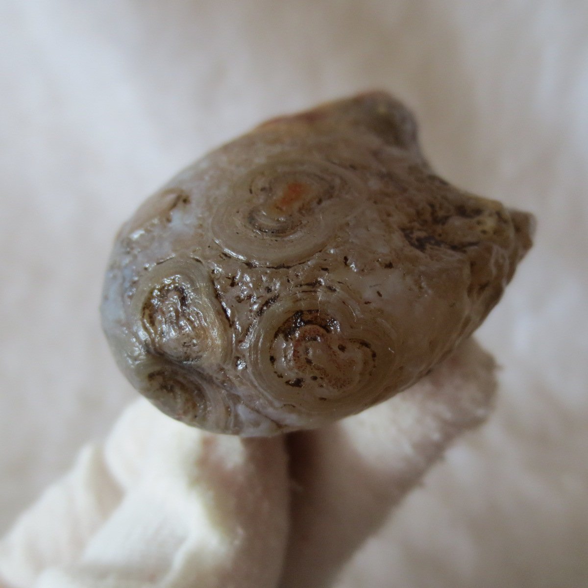 natural gobi eye stone，raw oracle eye agate，collectible crystal specimen (m92)