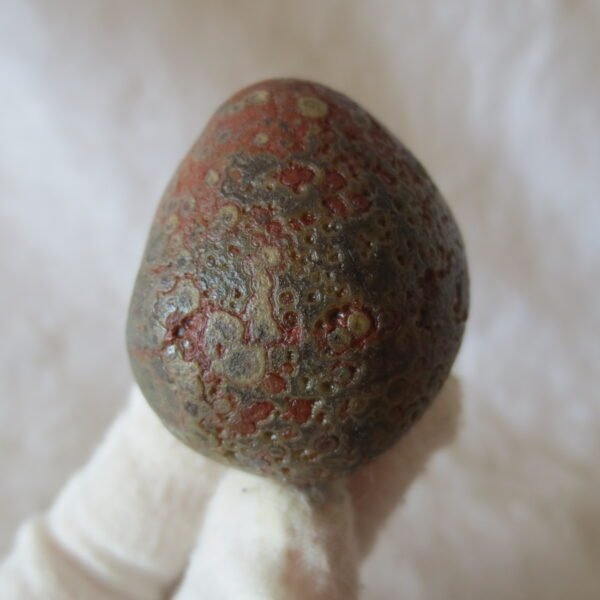 natural gobi eye stone，raw oracle eye agate，collectible crystal specimen (m92) (copy)