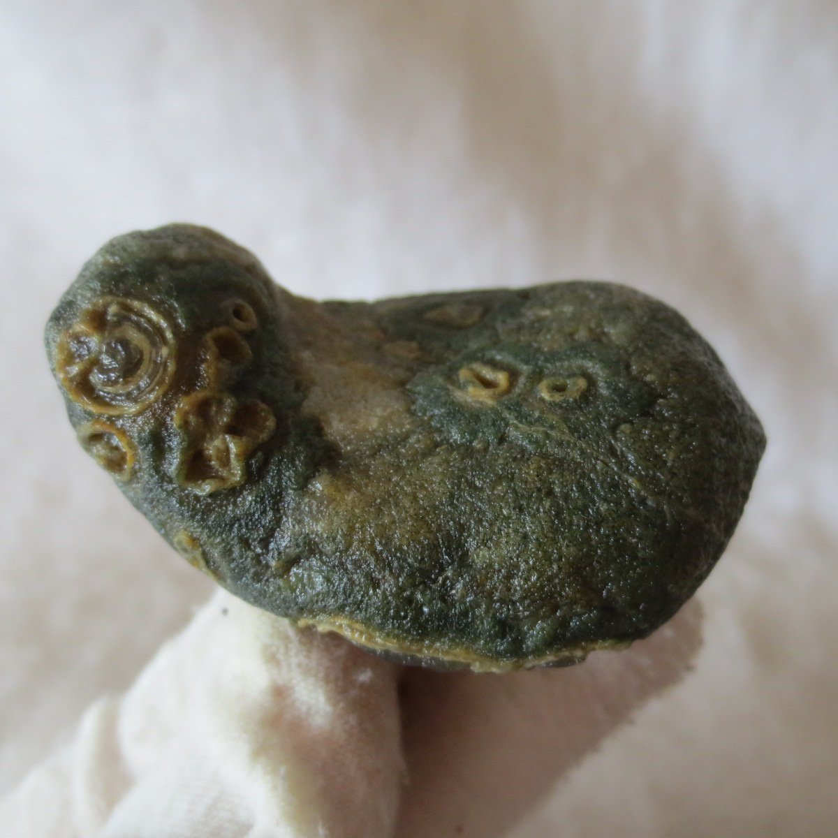 natural gobi eye stone，raw oracle eye agate，collectible crystal specimen (m95) (copy)