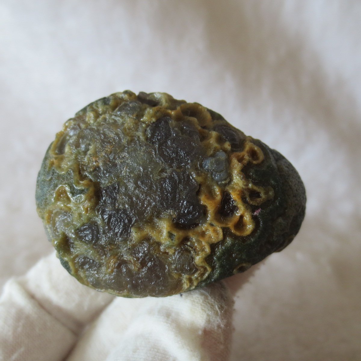 natural gobi eye stone，raw oracle eye agate，collectible crystal specimen (m95) (copy)
