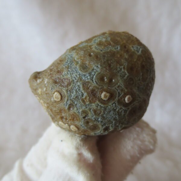 natural gobi eye stone，raw oracle eye agate，collectible crystal specimen (m97) (copy)