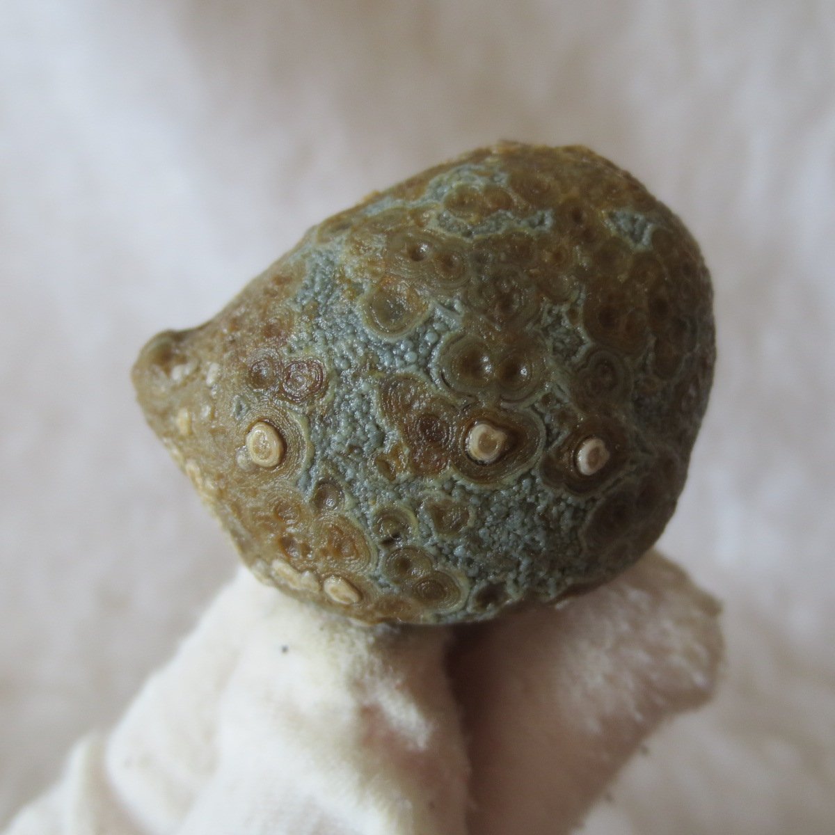 natural gobi eye stone，raw oracle eye agate，collectible crystal specimen (m97) (copy)