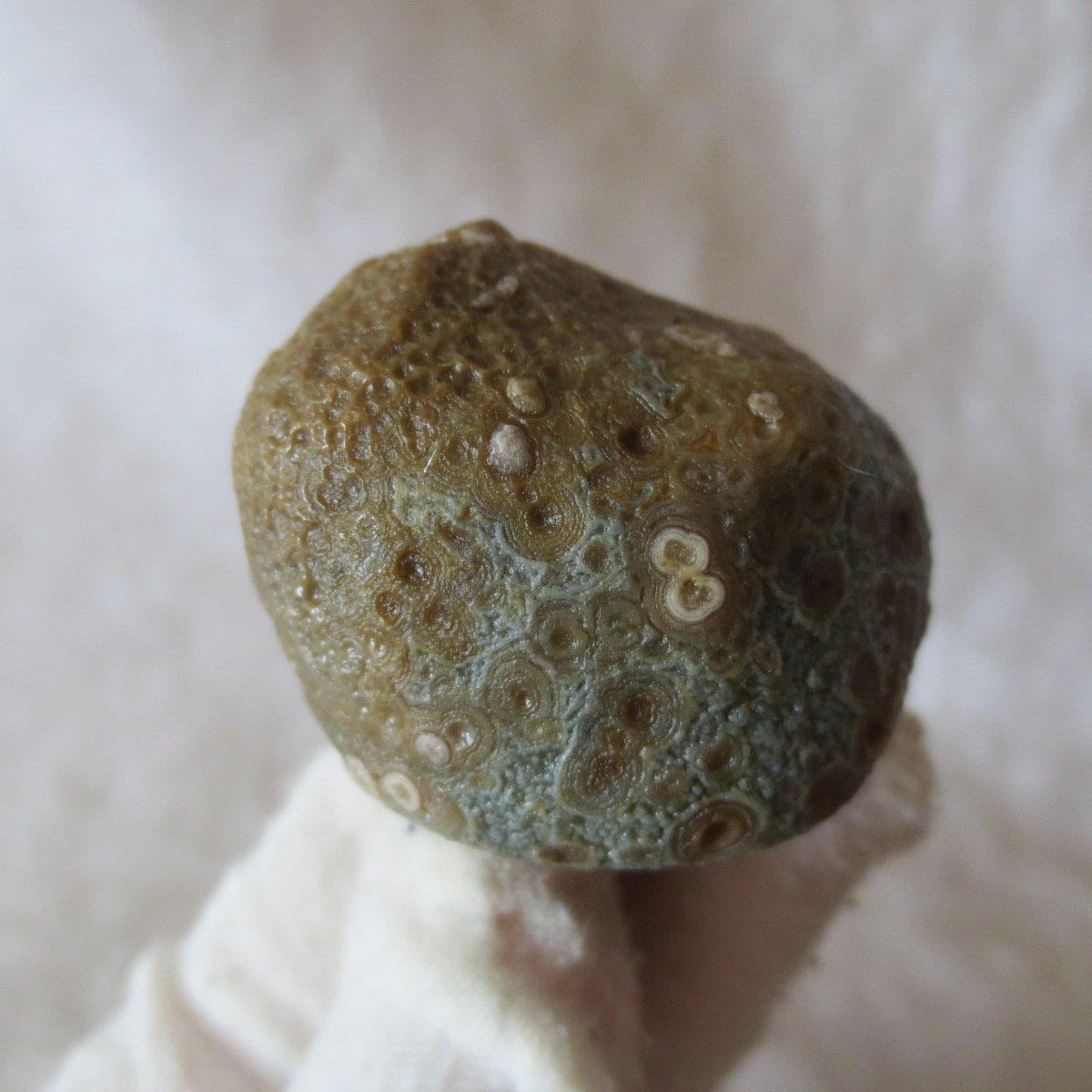 natural gobi eye stone，raw oracle eye agate，collectible crystal specimen (m97) (copy)