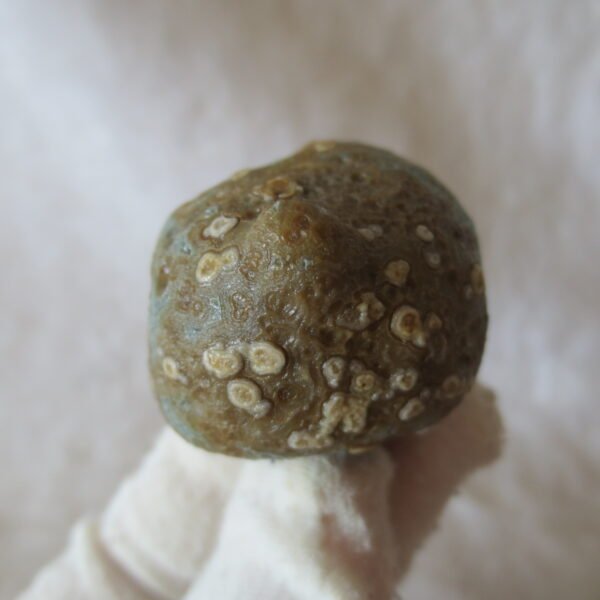 natural gobi eye stone，raw oracle eye agate，collectible crystal specimen (m97) (copy)