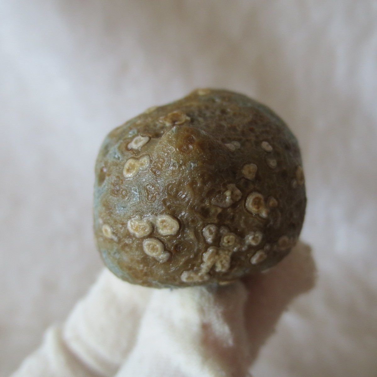 natural gobi eye stone，raw oracle eye agate，collectible crystal specimen (m97) (copy)