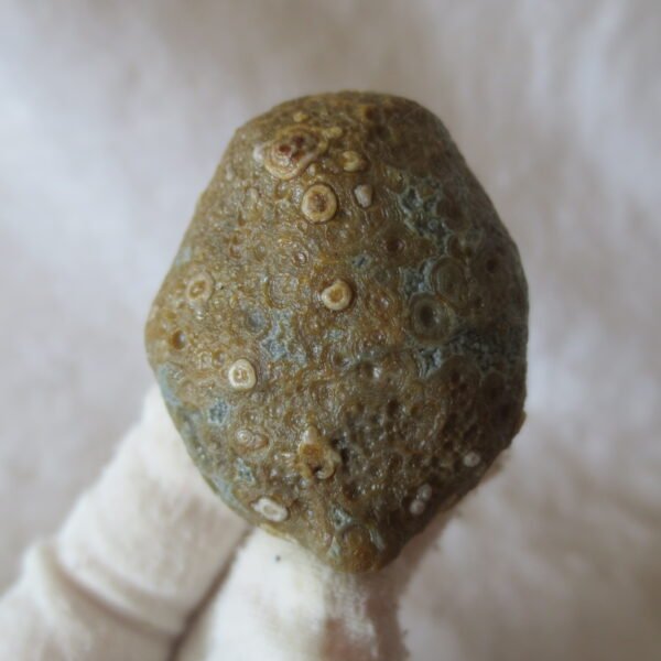 natural gobi eye stone，raw oracle eye agate，collectible crystal specimen (m97) (copy)