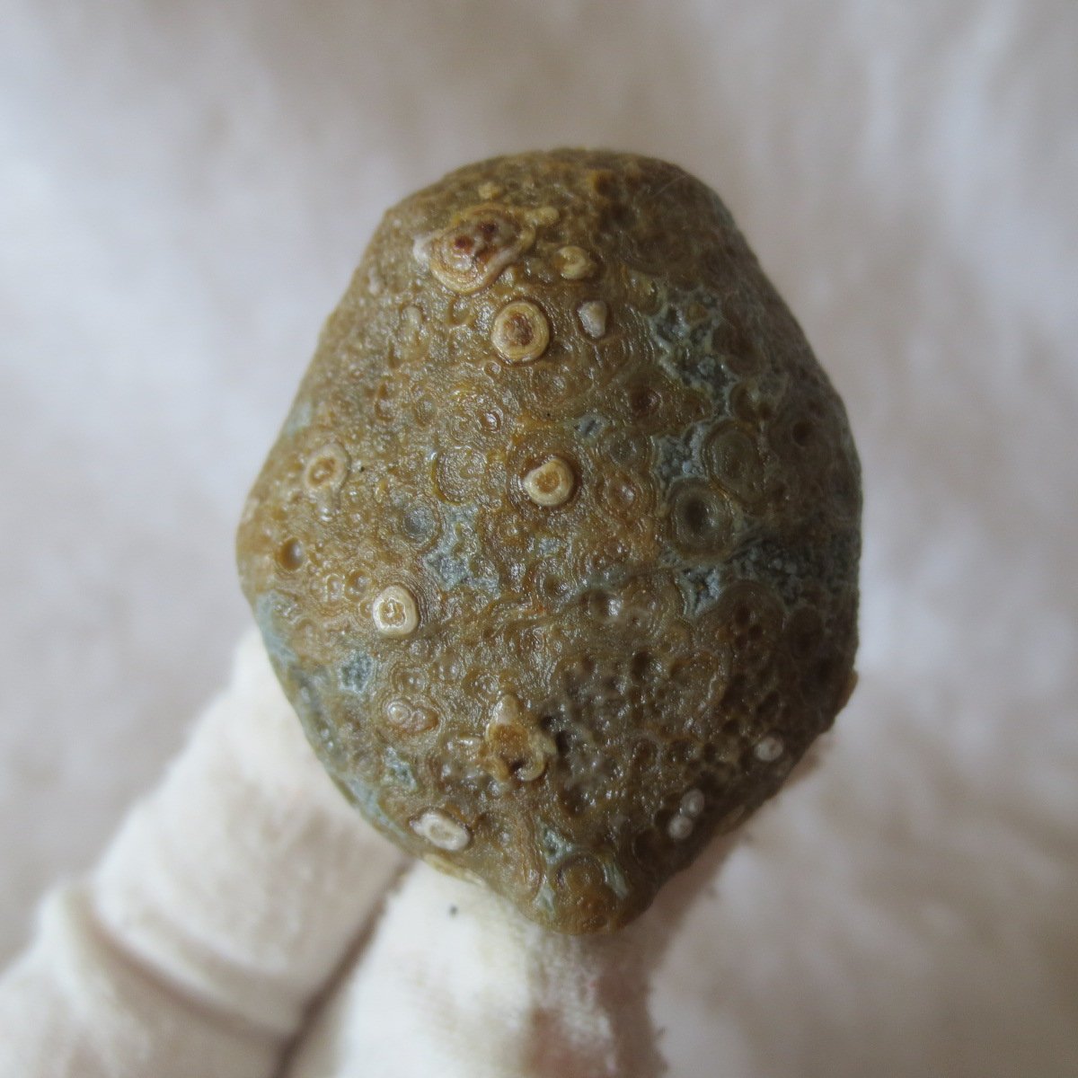 natural gobi eye stone，raw oracle eye agate，collectible crystal specimen (m97) (copy)
