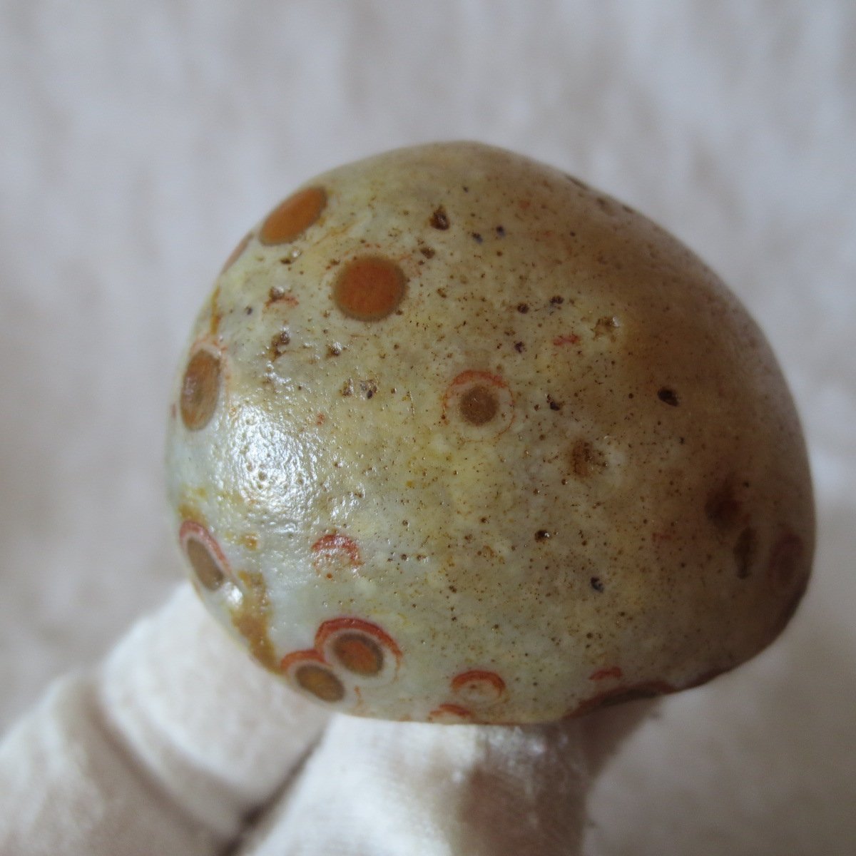 natural gobi eye stone，raw oracle eye agate，collectible crystal specimen (m99)