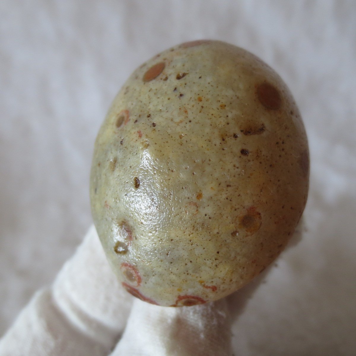 natural gobi eye stone，raw oracle eye agate，collectible crystal specimen (m99)