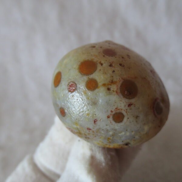 natural gobi eye stone，raw oracle eye agate，collectible crystal specimen (m99)