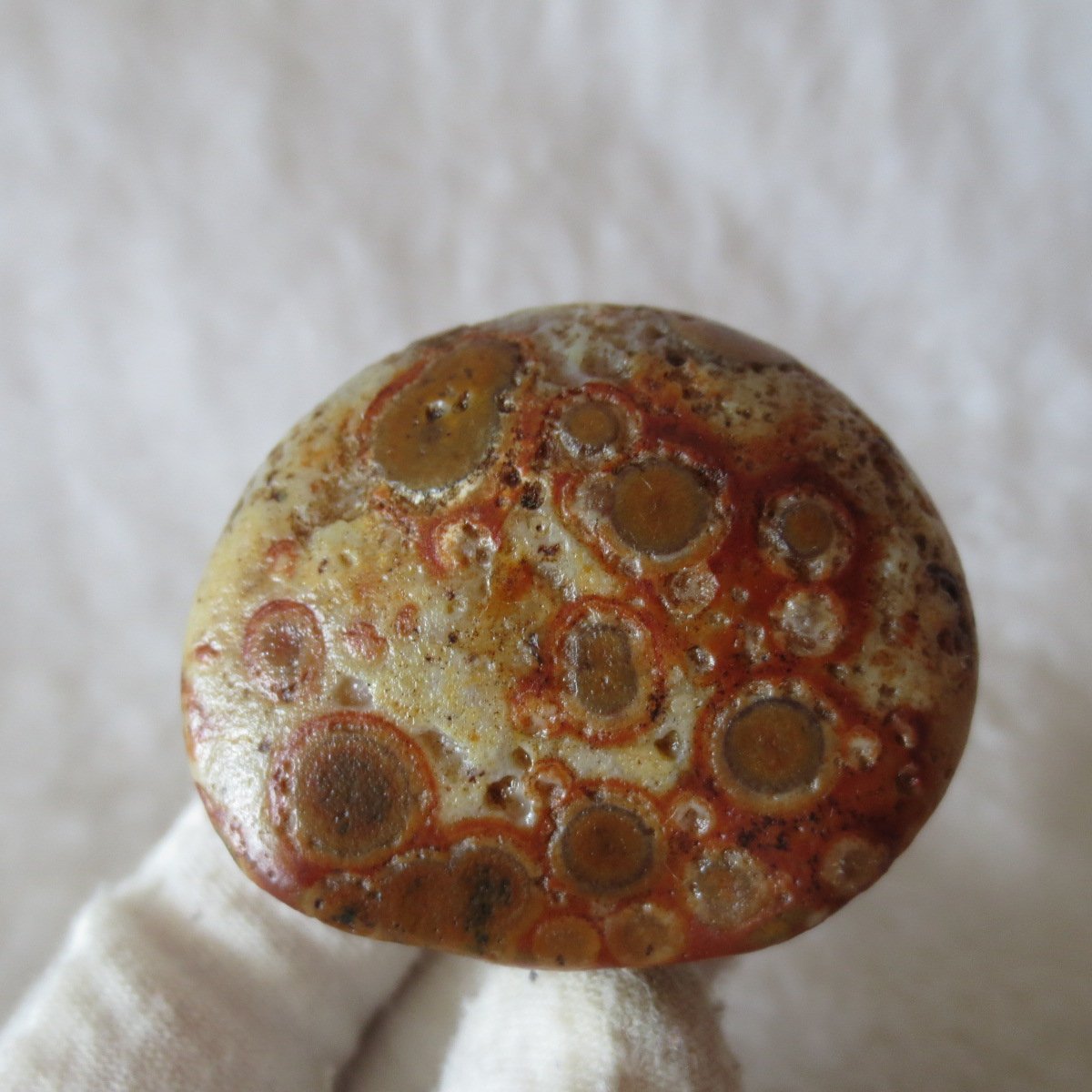 natural gobi eye stone，raw oracle eye agate，collectible crystal specimen (m99)
