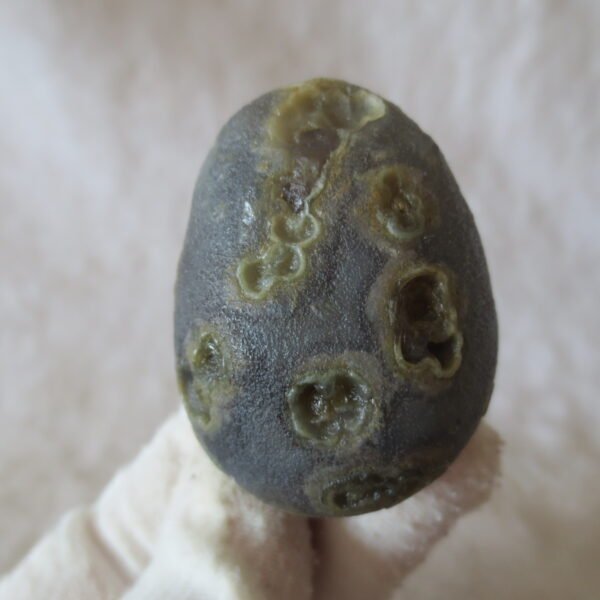 natural gobi eye stone，raw oracle eye agate，collectible crystal specimen (m99) (copy)