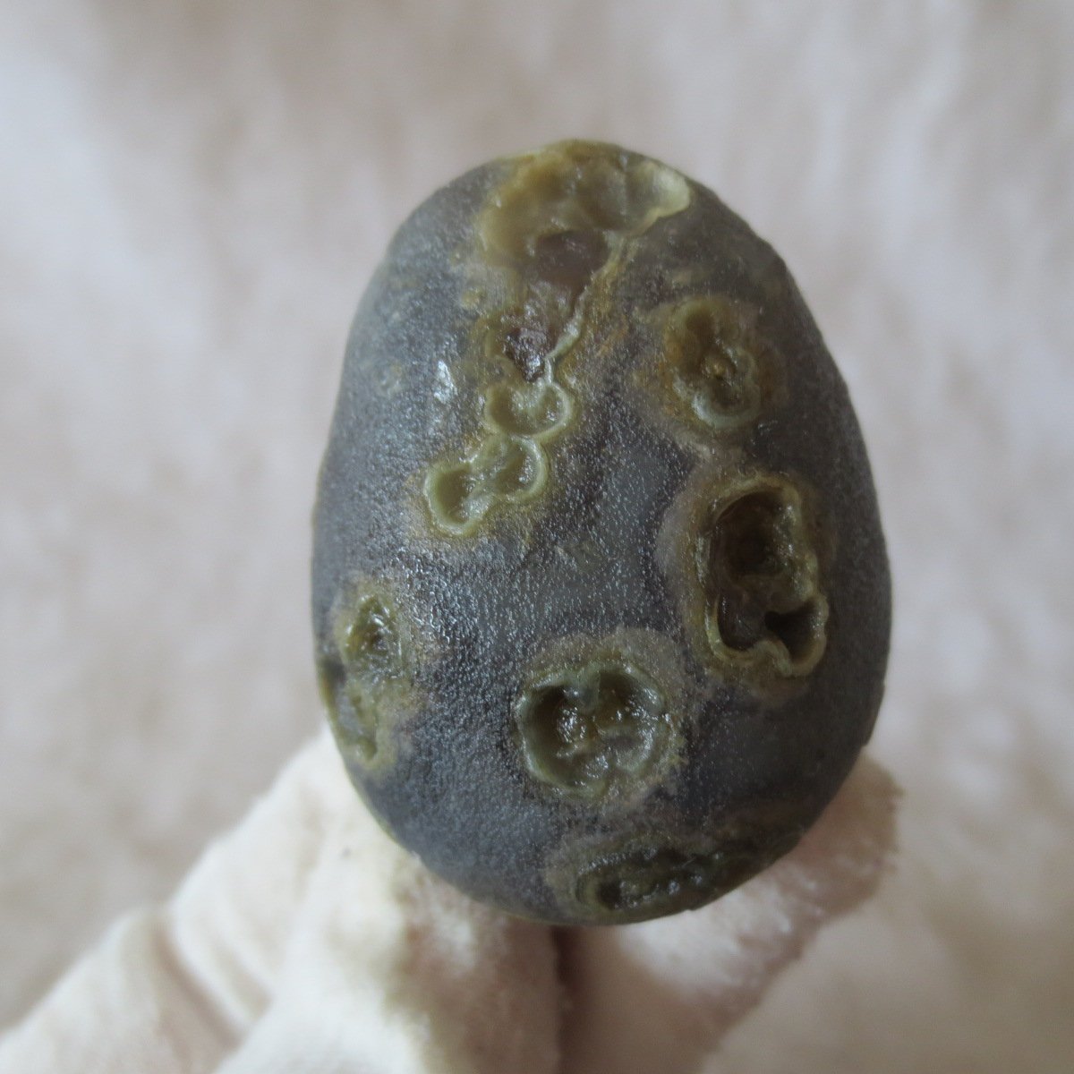 natural gobi eye stone，raw oracle eye agate，collectible crystal specimen (m99) (copy)