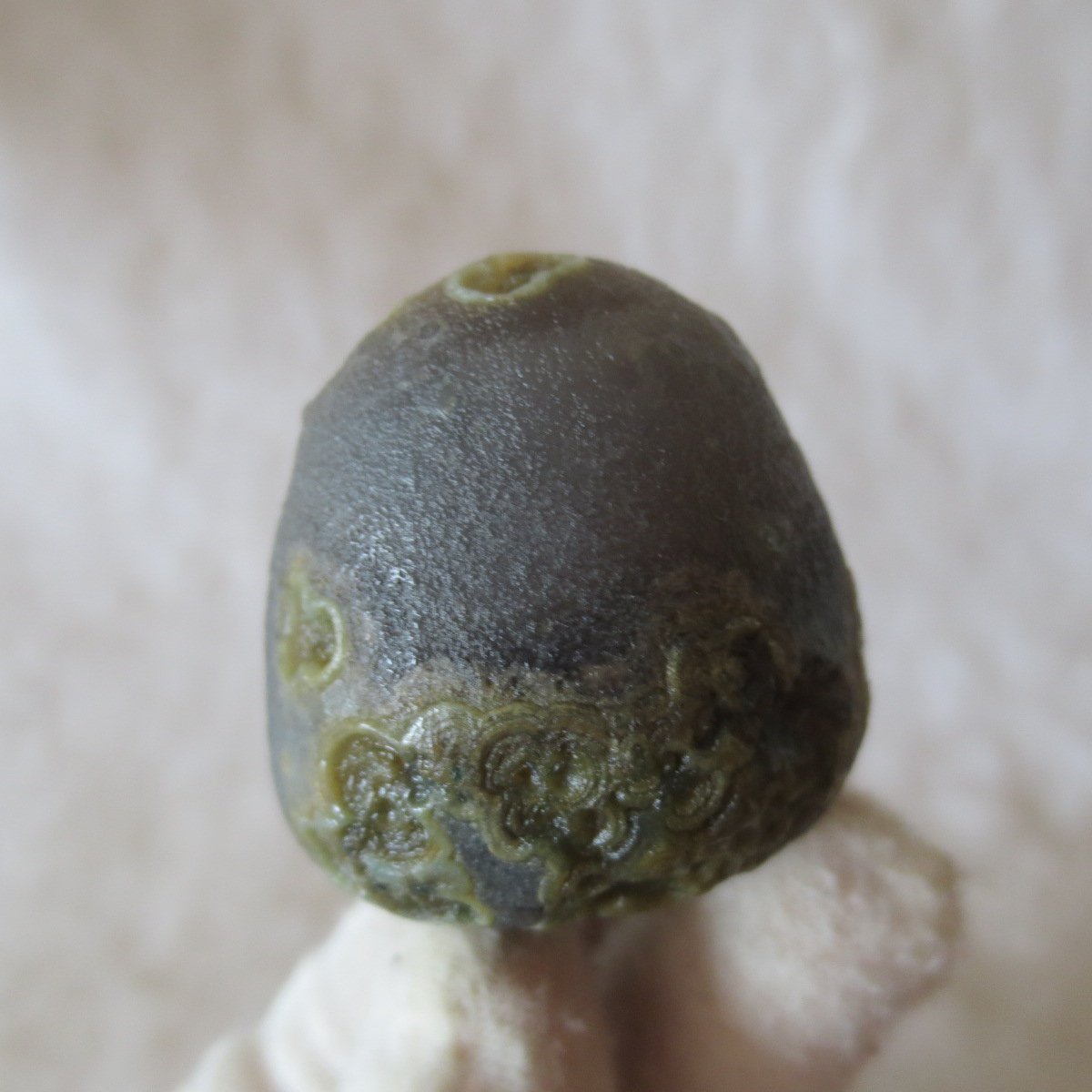 natural gobi eye stone，raw oracle eye agate，collectible crystal specimen (m99) (copy)