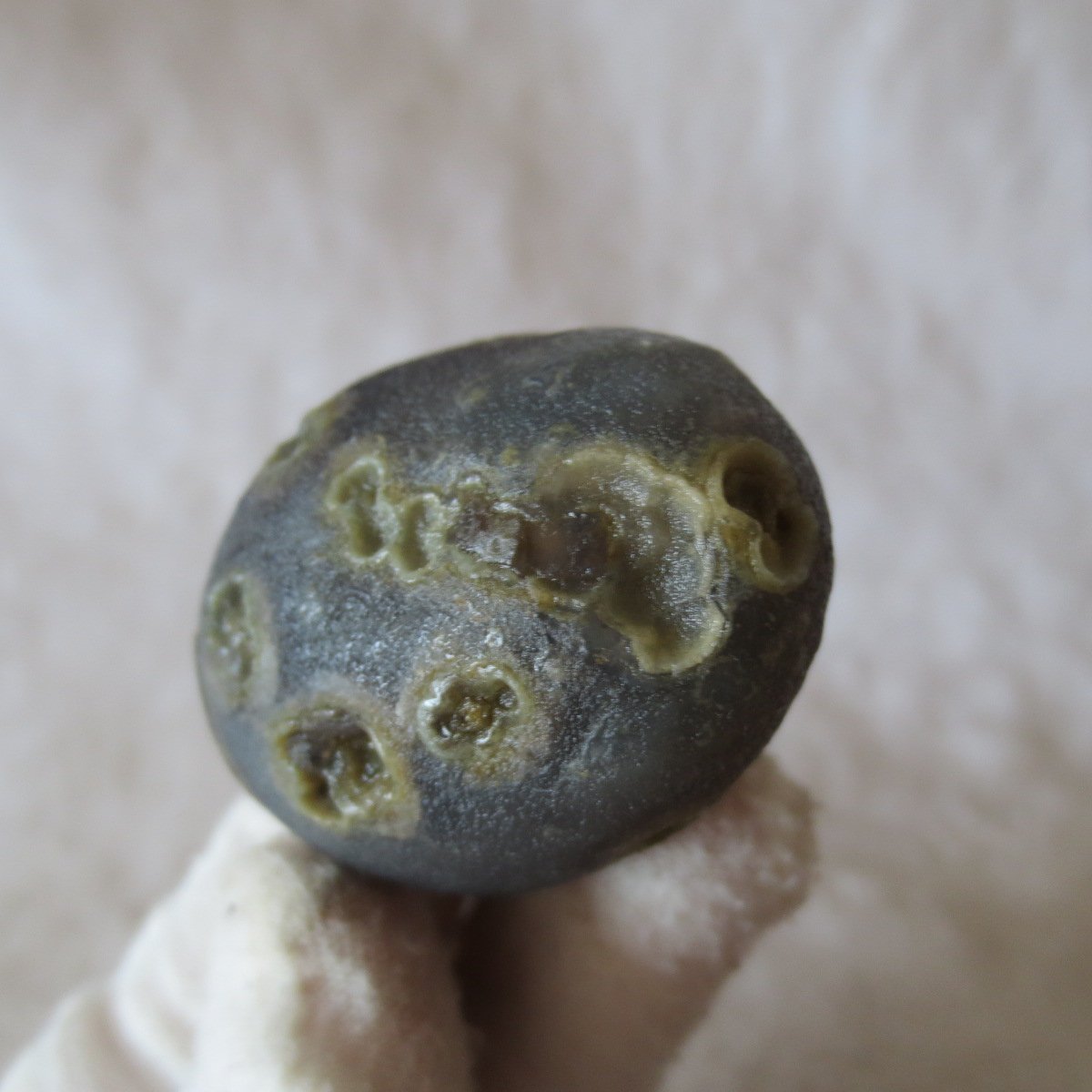 natural gobi eye stone，raw oracle eye agate，collectible crystal specimen (m99) (copy)