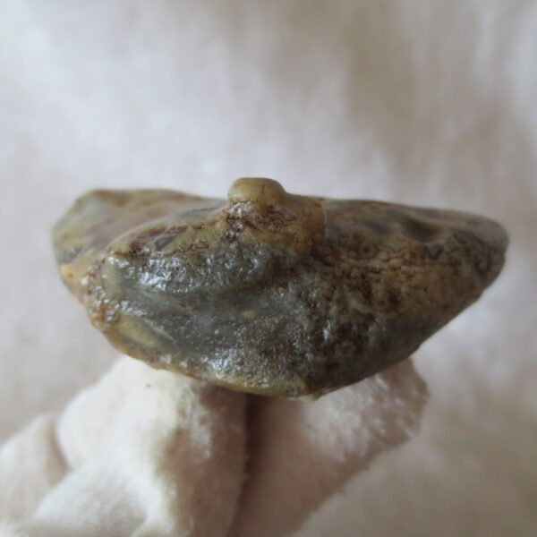 natural gobi eye stone，raw oracle eye agate，collectible crystal specimen (m102)