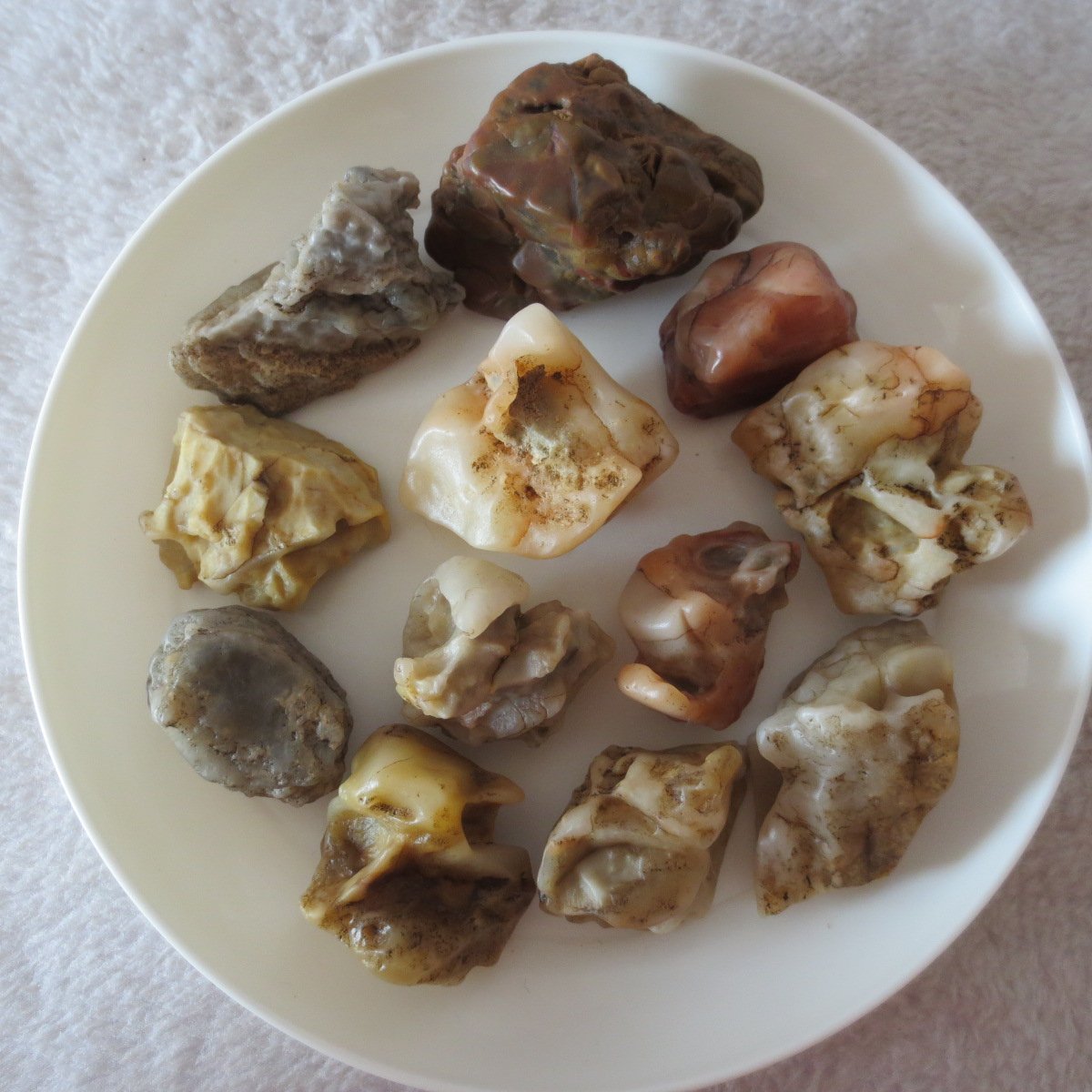 gobi desert raw rough stones natural mountain gobi rocks specimen for table decor. (p57) (copy)