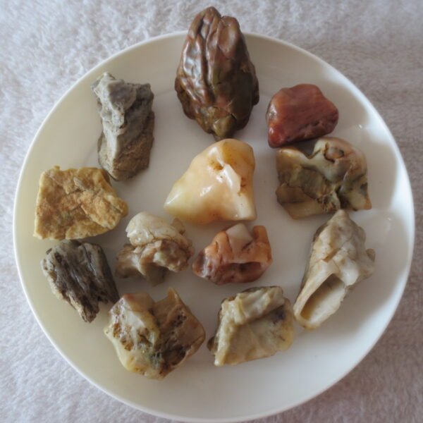 gobi desert raw rough stones natural mountain gobi rocks specimen for table decor. (p57) (copy)