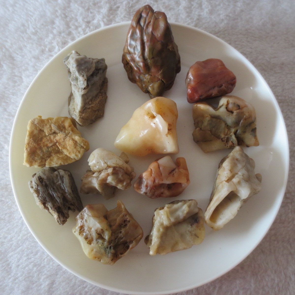 gobi desert raw rough stones natural mountain gobi rocks specimen for table decor. (p57) (copy)
