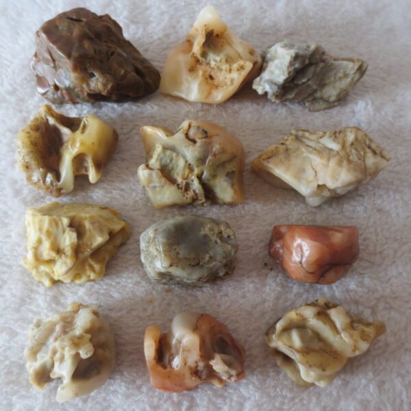 gobi desert raw rough stones natural mountain gobi rocks specimen for table decor. (p57) (copy)