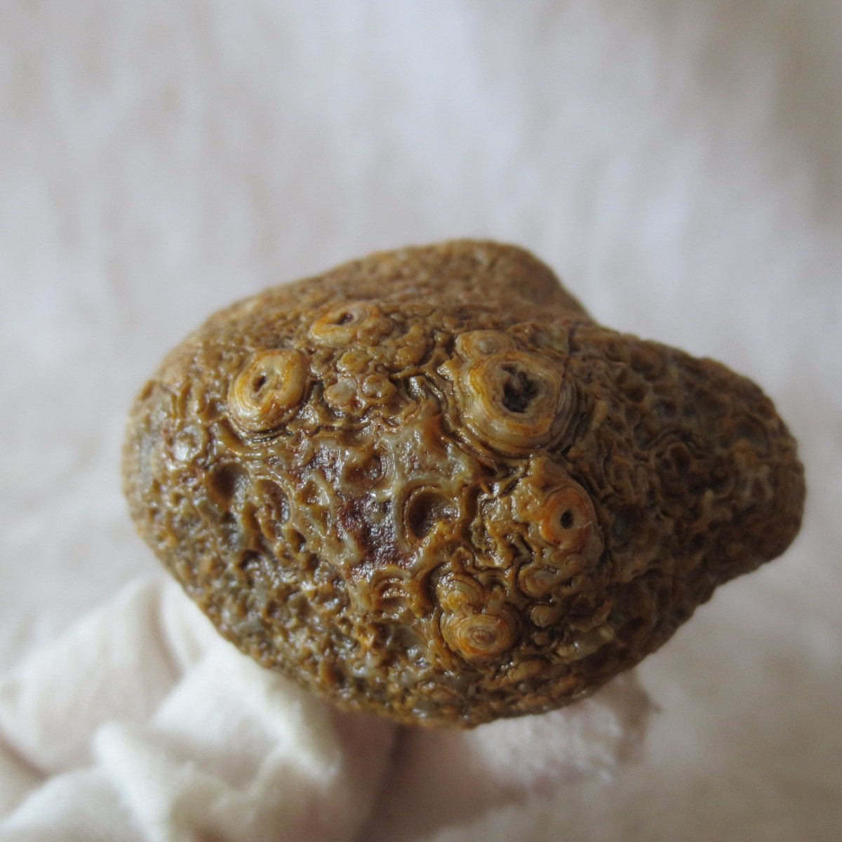 natural gobi eye stone，raw oracle eye agate，collectible crystal specimen (m102) (copy)