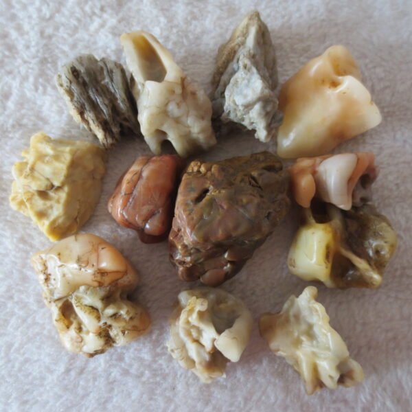 gobi desert raw rough stones natural mountain gobi rocks specimen for table decor. (p57) (copy)