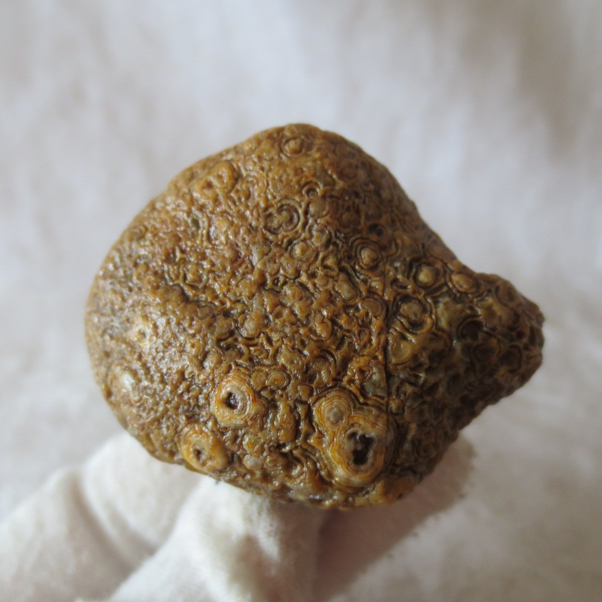 natural gobi eye stone，raw oracle eye agate，collectible crystal specimen (m102) (copy)