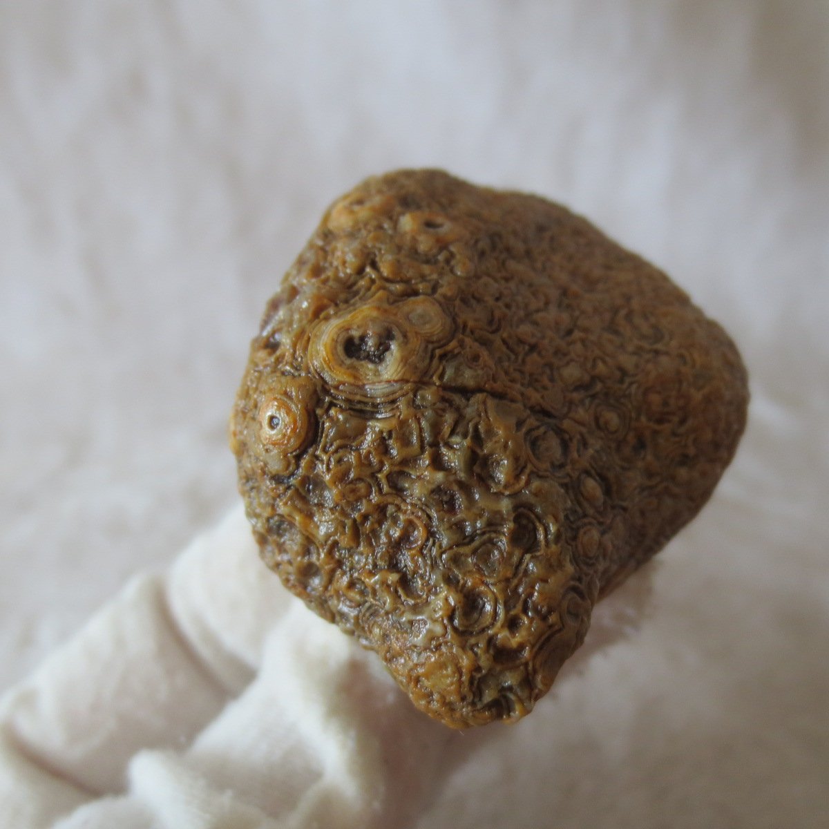 natural gobi eye stone，raw oracle eye agate，collectible crystal specimen (m102) (copy)
