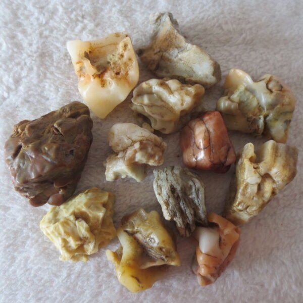 gobi desert raw rough stones natural mountain gobi rocks specimen for table decor. (p57) (copy)