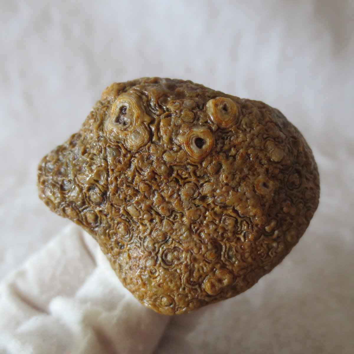 natural gobi eye stone，raw oracle eye agate，collectible crystal specimen (m102) (copy)