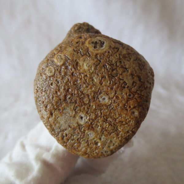 natural gobi eye stone，raw oracle eye agate，collectible crystal specimen (m102) (copy)