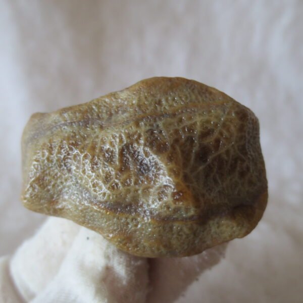 natural gobi eye stone，raw oracle eye agate，collectible crystal specimen (m106)
