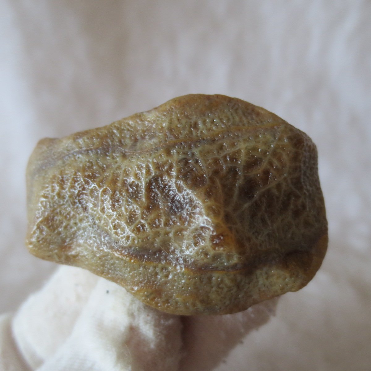 natural gobi eye stone，raw oracle eye agate，collectible crystal specimen (m106)