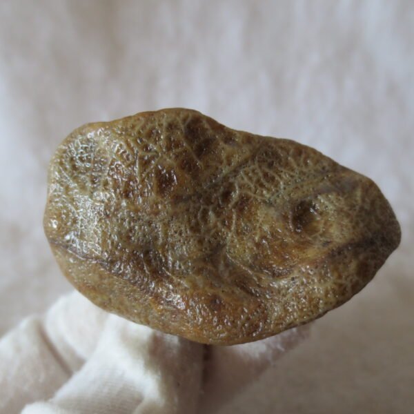natural gobi eye stone，raw oracle eye agate，collectible crystal specimen (m106)