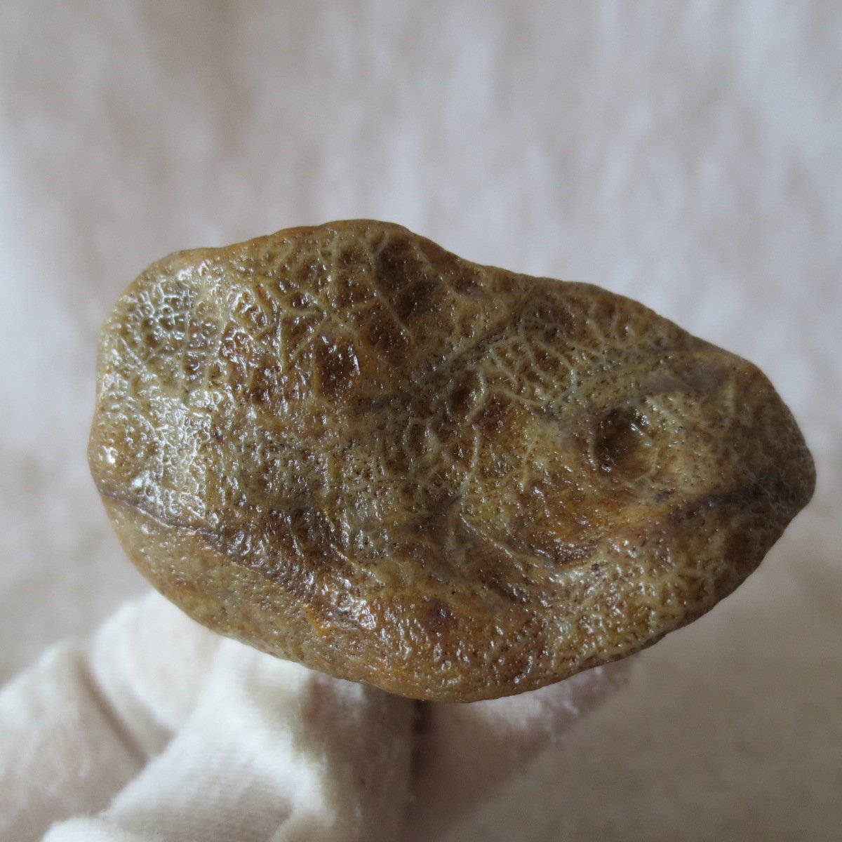 natural gobi eye stone，raw oracle eye agate，collectible crystal specimen (m106)
