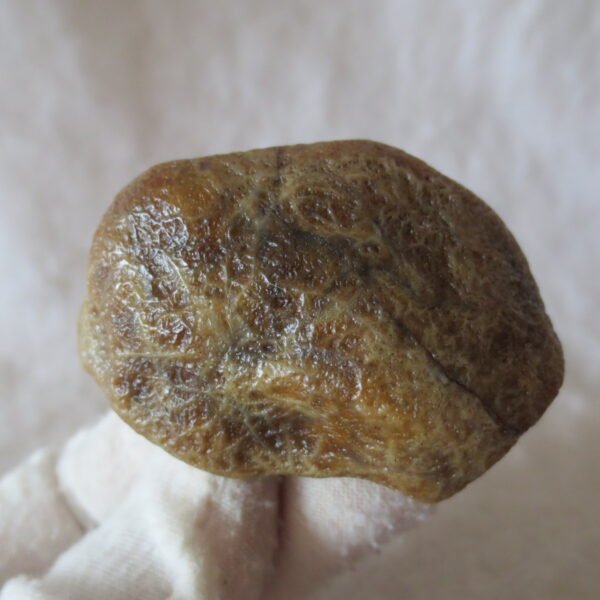 natural gobi eye stone，raw oracle eye agate，collectible crystal specimen (m106)
