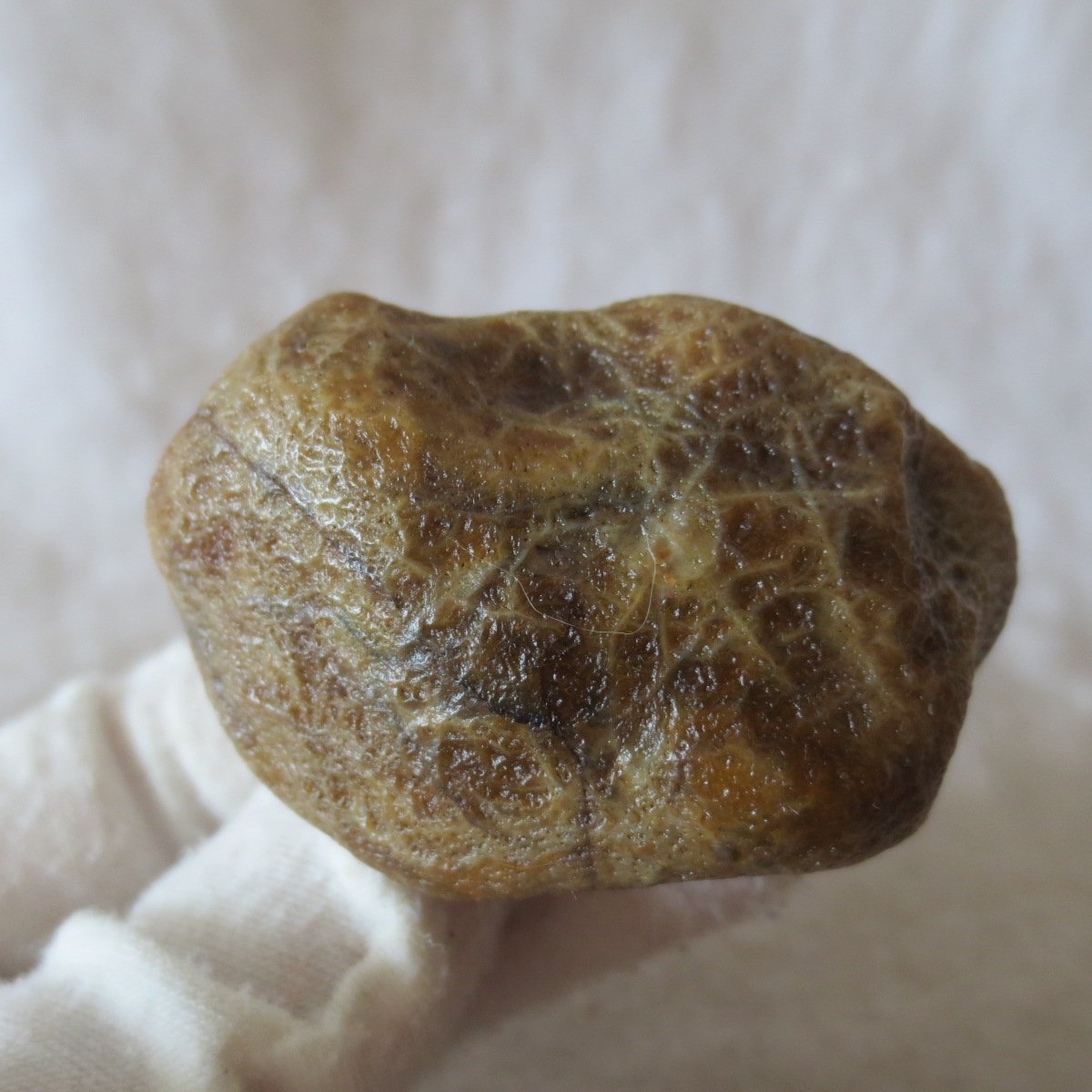 natural gobi eye stone，raw oracle eye agate，collectible crystal specimen (m106)