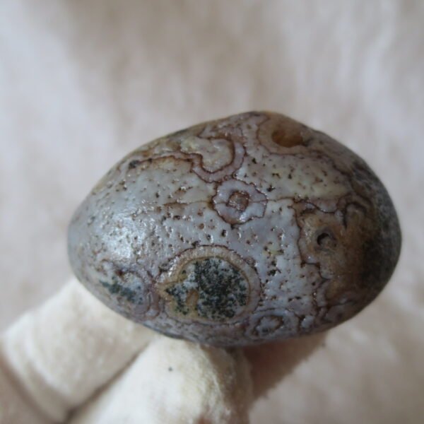natural gobi eye stone，raw oracle eye agate，collectible crystal specimen (m108)